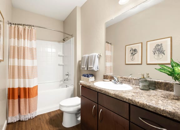 a bathroom with a shower toilet and sink and a mirror