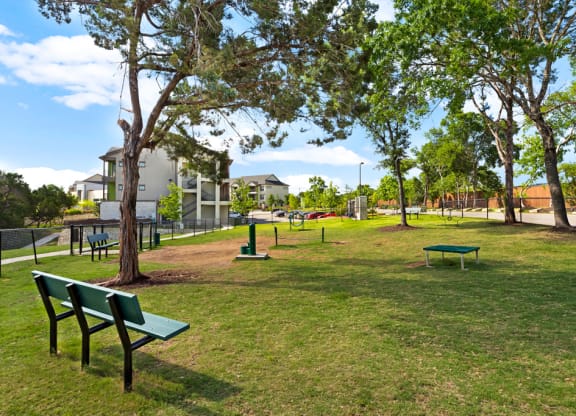 Expansive Dog Park