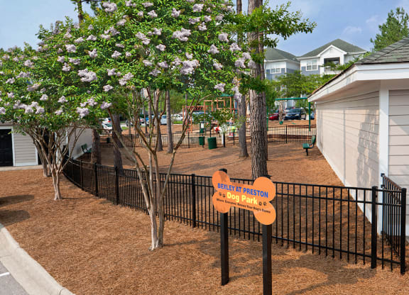 Dog Park
