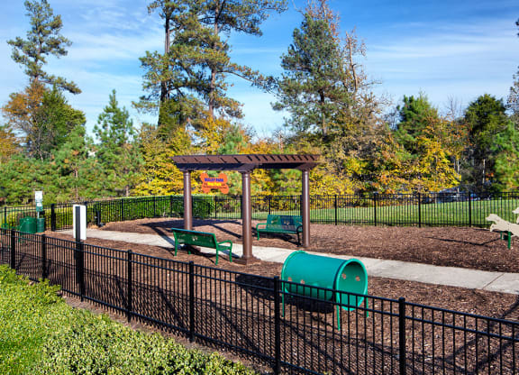 Dog Park
