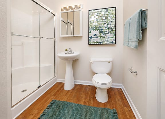 Model Bathroom