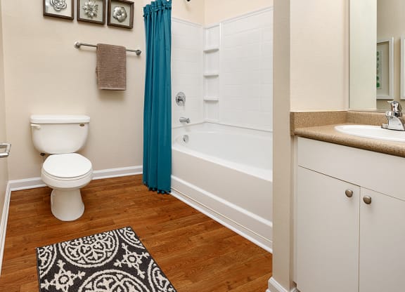 Model Bathroom