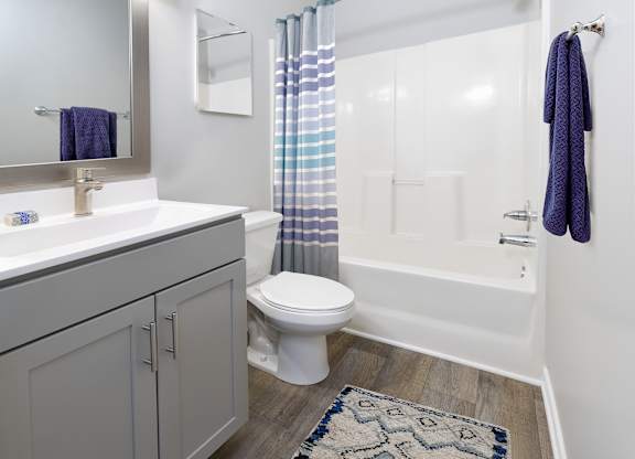 A bathroom with a white toilet, a sink with a mirror above it, a bathtub, a shower curtain, and a rug on the floor.