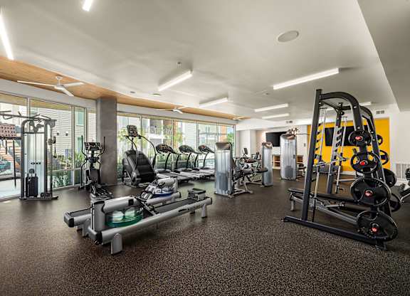 A gym with a variety of equipment including treadmills, weights, and exercise machines.
