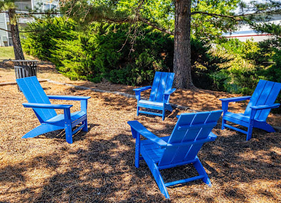 A group of blue chairs are arranged in a circle on the grass.