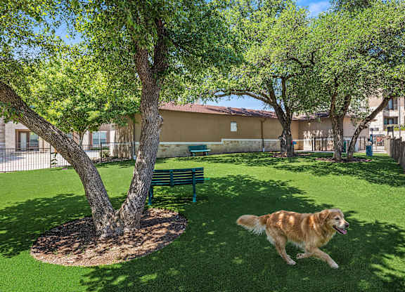 A dog is running in a grassy area with trees and a bench.