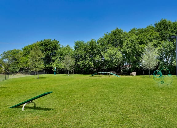 Dog Park
