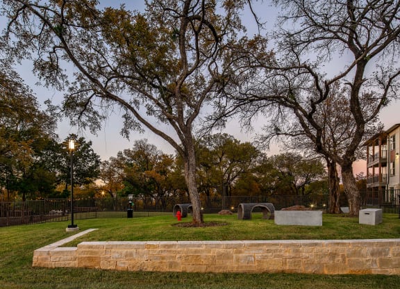 Dog Park 2