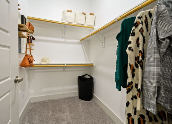 Walk-in Closets*