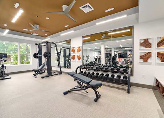 A gym with a variety of equipment including weights and a bench.