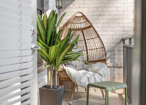 A patio with a chair, a couch, and a plant.