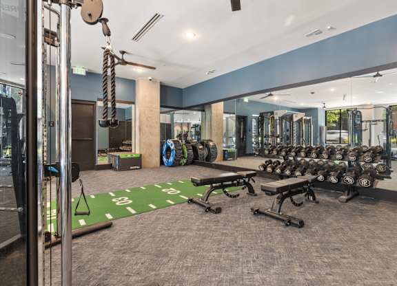 A gym with a variety of equipment including weights and a bench.