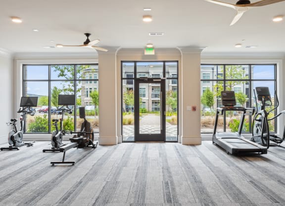 the apartments at masse corner 205 fitness room