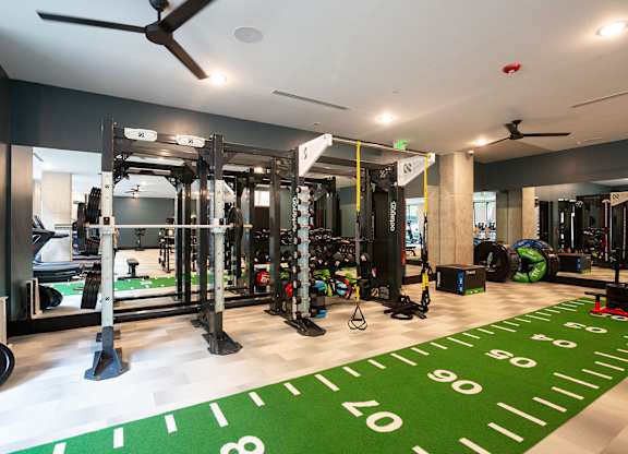 a gym with weights machines and a green rug on the floor