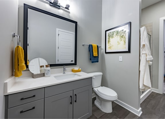 a bathroom with a mirror and a toilet and a sink