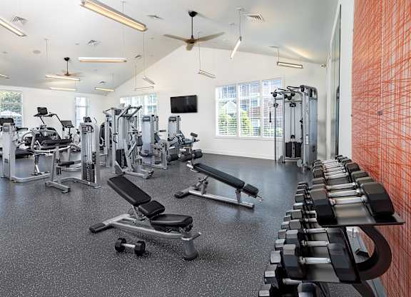 A gym with a variety of equipment including treadmills, weights, and a television.