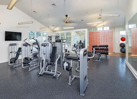 A gym with a variety of equipment including treadmills, weights, and a television.