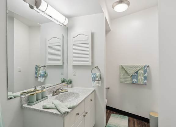A bathroom with a sink, mirror, and towel rack. at Millennium at Creve Coeur, Missouri