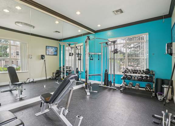 A gym with a variety of equipment including weights and a bench.