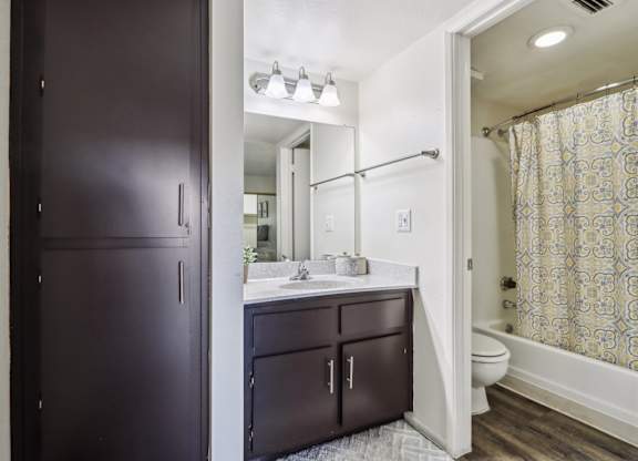 A bathroom with a dark brown door and a white sink.