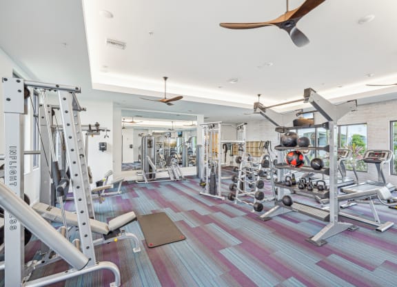 a gym with weights and a ceiling fan at Edge75, Naples, Florida 34104