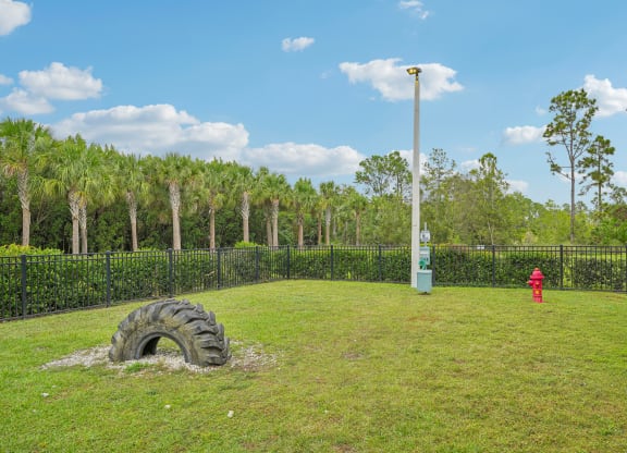 a tire in a field with a fire hydrant and a pole at Edge75, Naples, Florida 34104