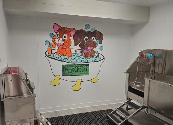 Dog wash station at Deer Crest Apartments, Broomfield, 80020