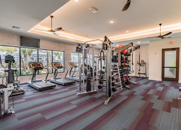 Start of the Art Fitness Center at Edge75, Naples, FL 34104