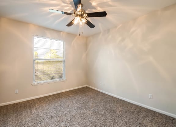 Lighted Ceiling Fan at Kingwood Glen, Kingwood