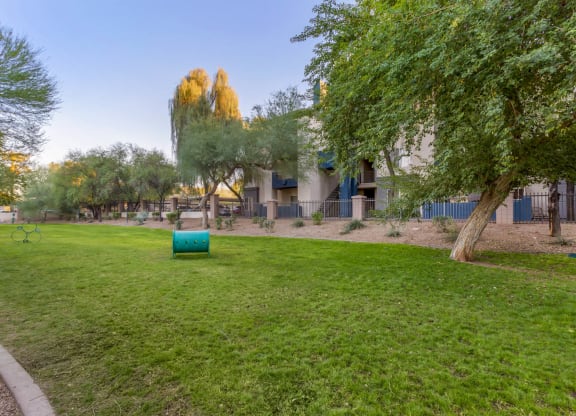 Dog Park at Sweetwater At Metro North Apartments, Arizona 85029
