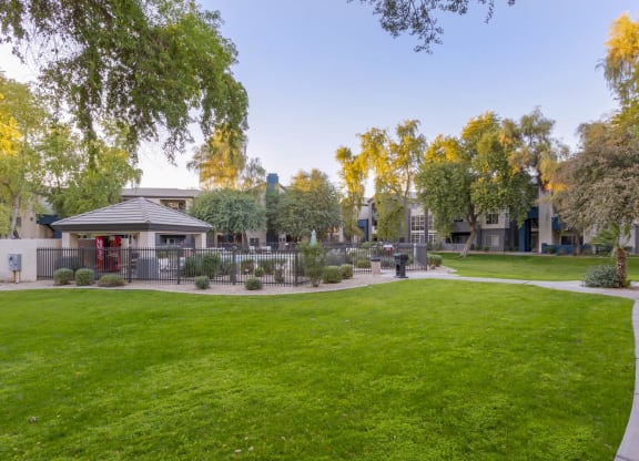 Lush Green Outdoor at Sweetwater At Metro North Apartments, Phoenix, Arizona