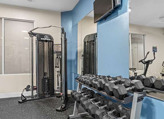 a gym with weights and a tv in the corner at Lake Lofts at Deerwood, Jacksonville, FL, 32216