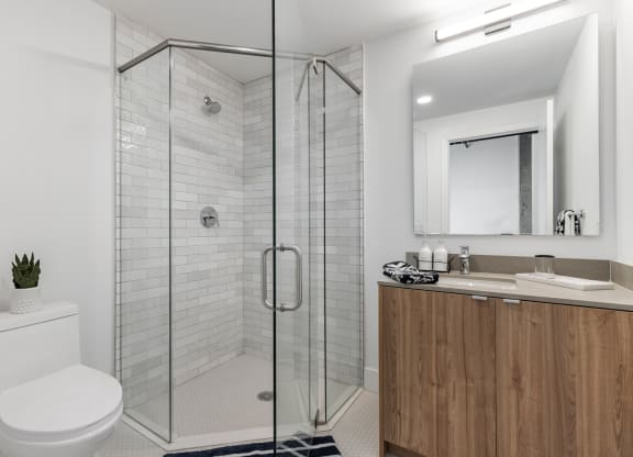 Beautiful glass walk-in shower.