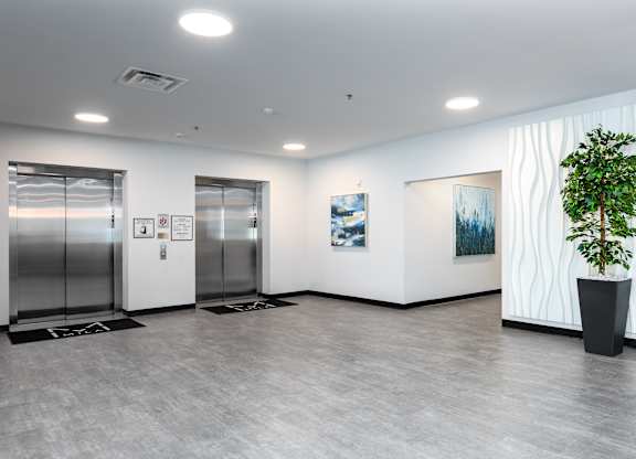 A room with a plant, artwork, and two elevators.