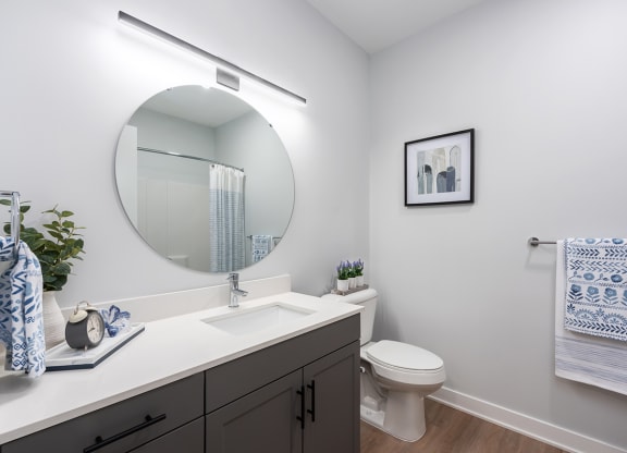 bathroom with plank flooring, gray cabinetry, white quartz countertops and large circular mirror at Steelcote Square, St. Louis, MO