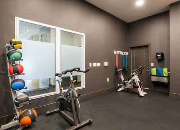 A room with a bike, a row of exercise balls and a window.