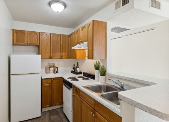 Model classic apartment kitchen