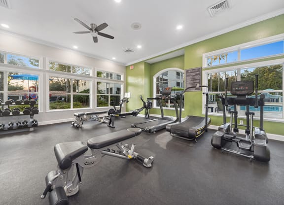 Community Fitness Center with Equipment at Vinings at Hunter's Green Apartments in Tampa, FL.