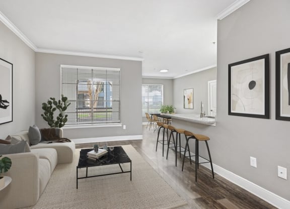 Model living and kitchen