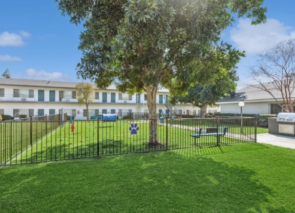 Community Dog Park with Grass, a Fence, & Agility Equipment at Forest Park Apartments in El Cajon, CA.
