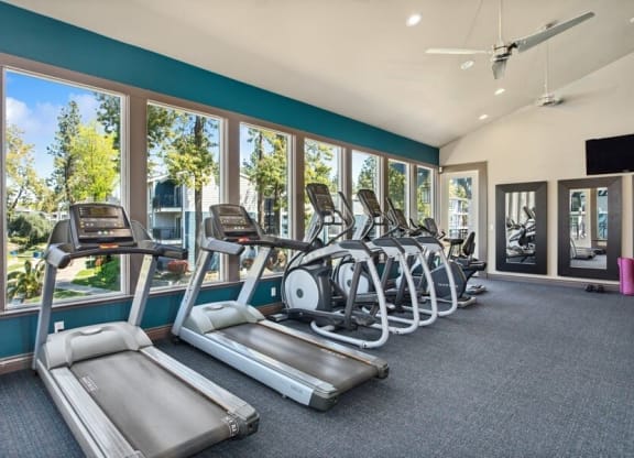 Community gym with treadmills