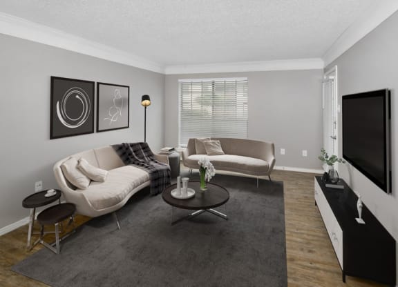Model living room couch and a television