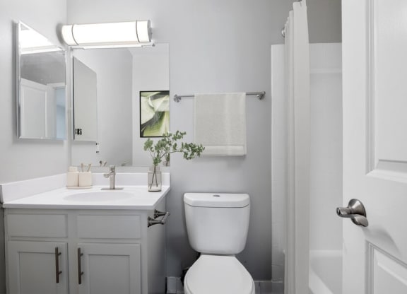 Model bathroom