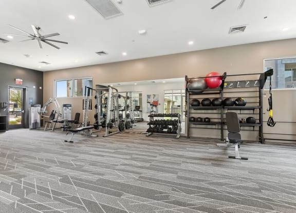 Fitness center with free weights