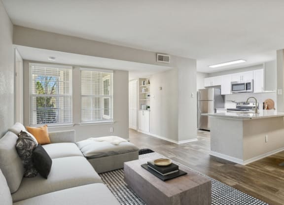 a living room and kitchen with a couch and a coffee table