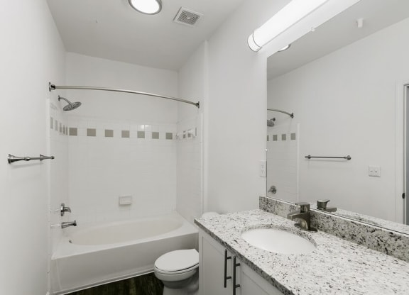 Model master bathroom