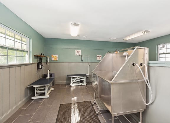 Community Dog Wash Station at Seven Lakes at Carrollwood Apartments in Tampa, FL.