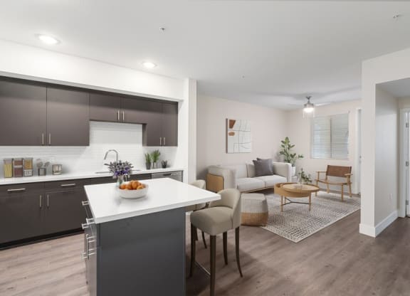 Model kitchen and living spaces