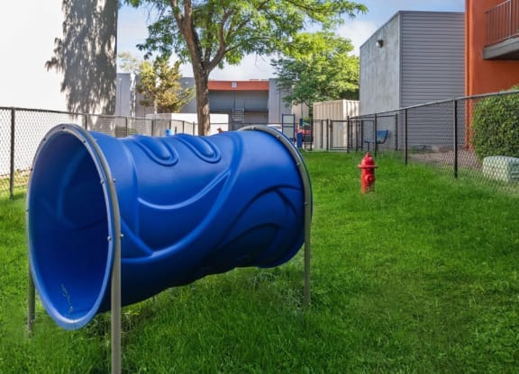 Community Dog Park with Agility Equipment at Indigo Park Apartments in Albuquerque, NM.