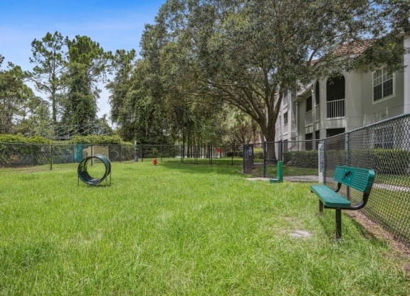 Dog park with Agility Equipment